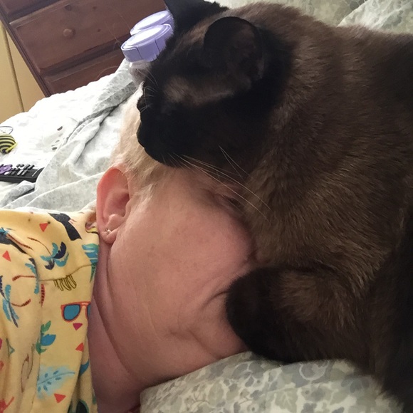 Meet your Posher, Nancy - Picture 1 of 1